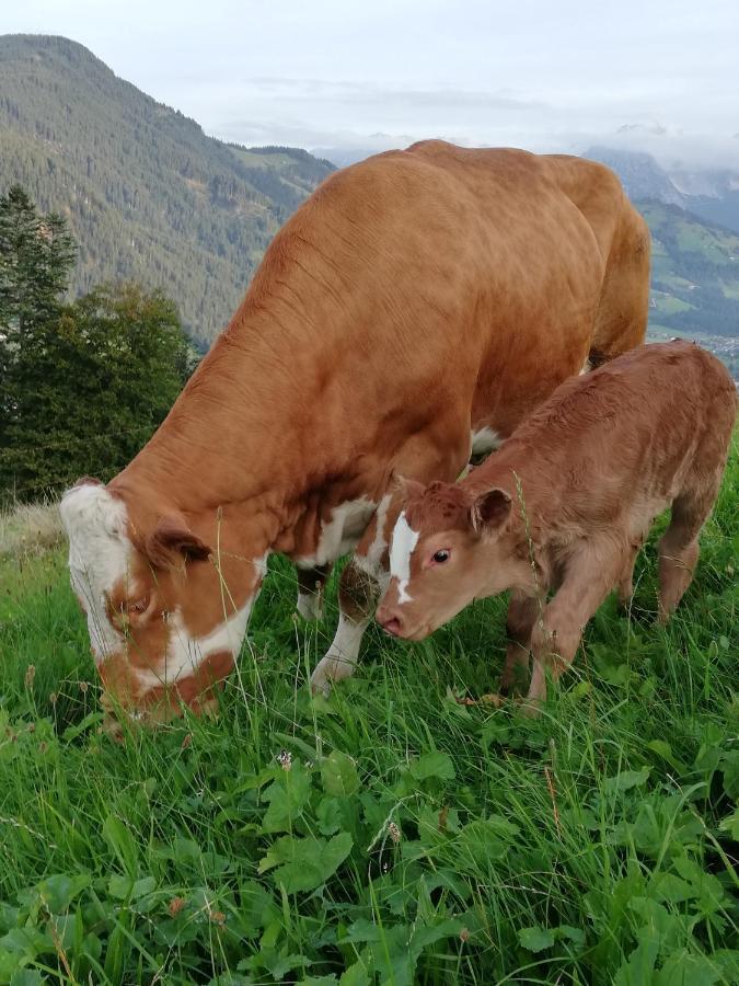 Hahnenkammblick Kitzbühel Exterior foto